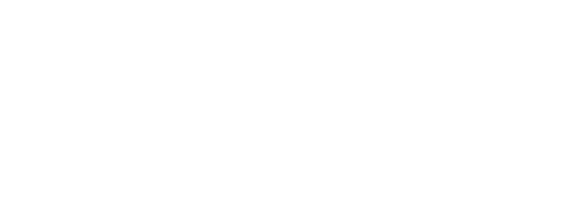 FlipIt Vemdalen
